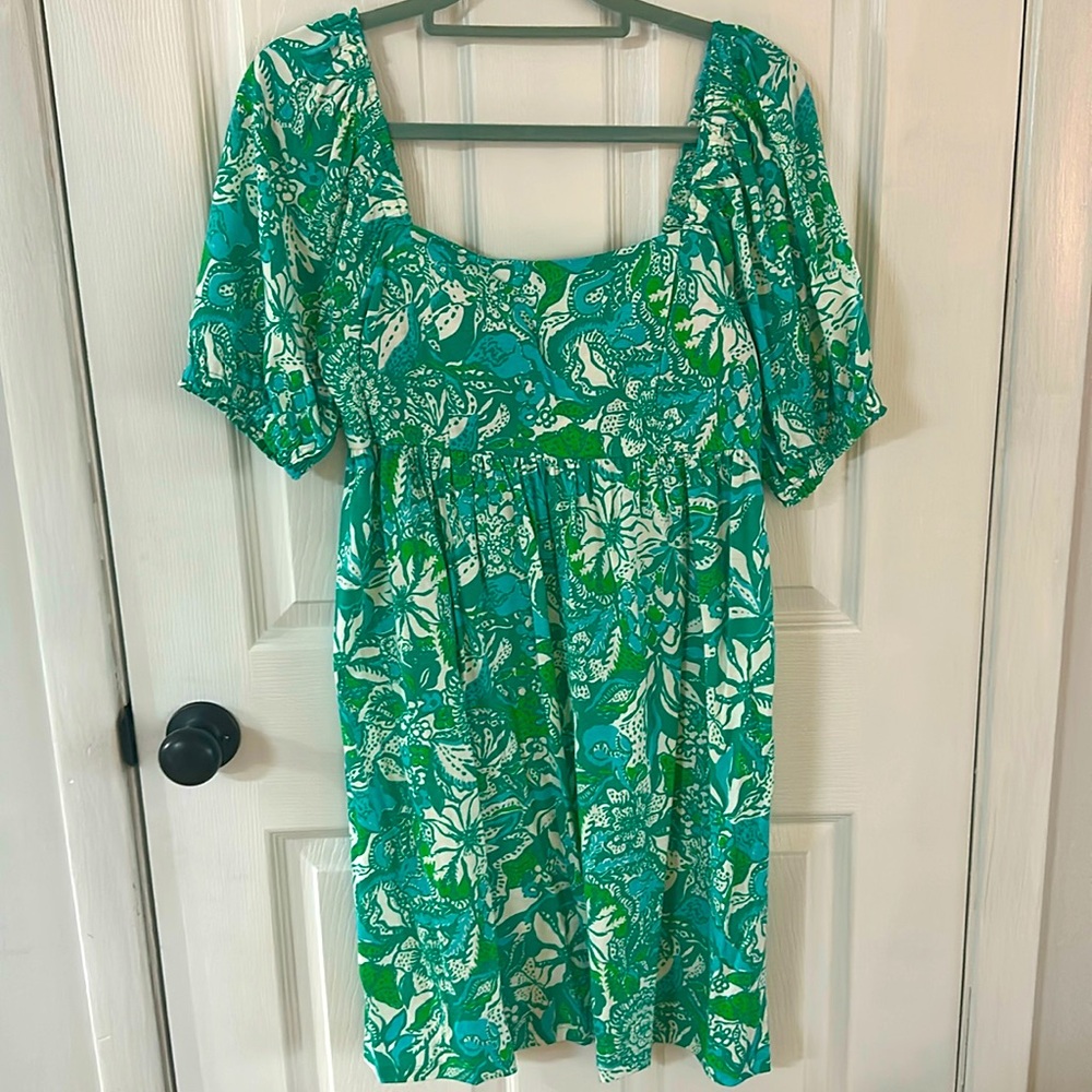 Lilly Pulitzer Sun Dress. Never worn but no tags